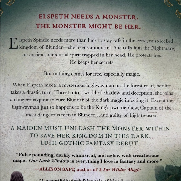 One Dark Window by Rachel Gillig - Picture 3 of 4